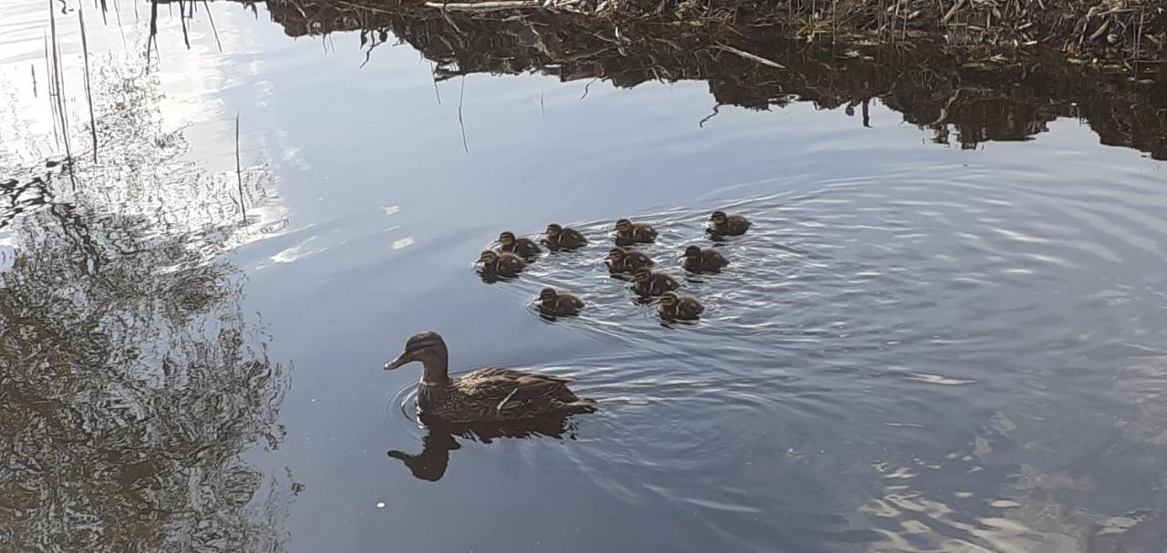Huisje Beukers Giethoorn Εξωτερικό φωτογραφία